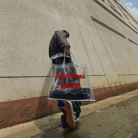 Sisburma Transparent Styling Bag